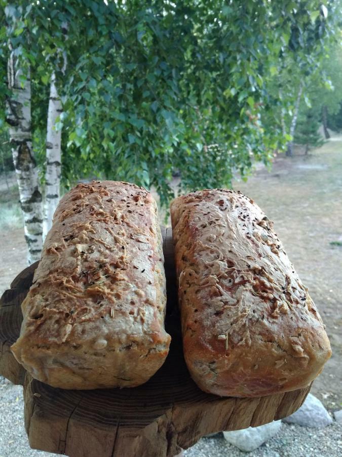 Siedlisko Soce Agroturystyka Villa Exterior foto